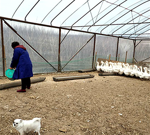 1585104366385169.jpg 2_副本.jpg