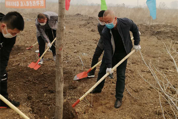 1587096684386042803.jpg 植树_副本.jpg