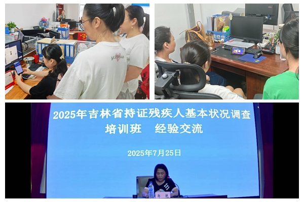 1753506766873239.jpg 湖西街道全力推进残疾人专项调查工作,精准培训助力高效落实1.jpg