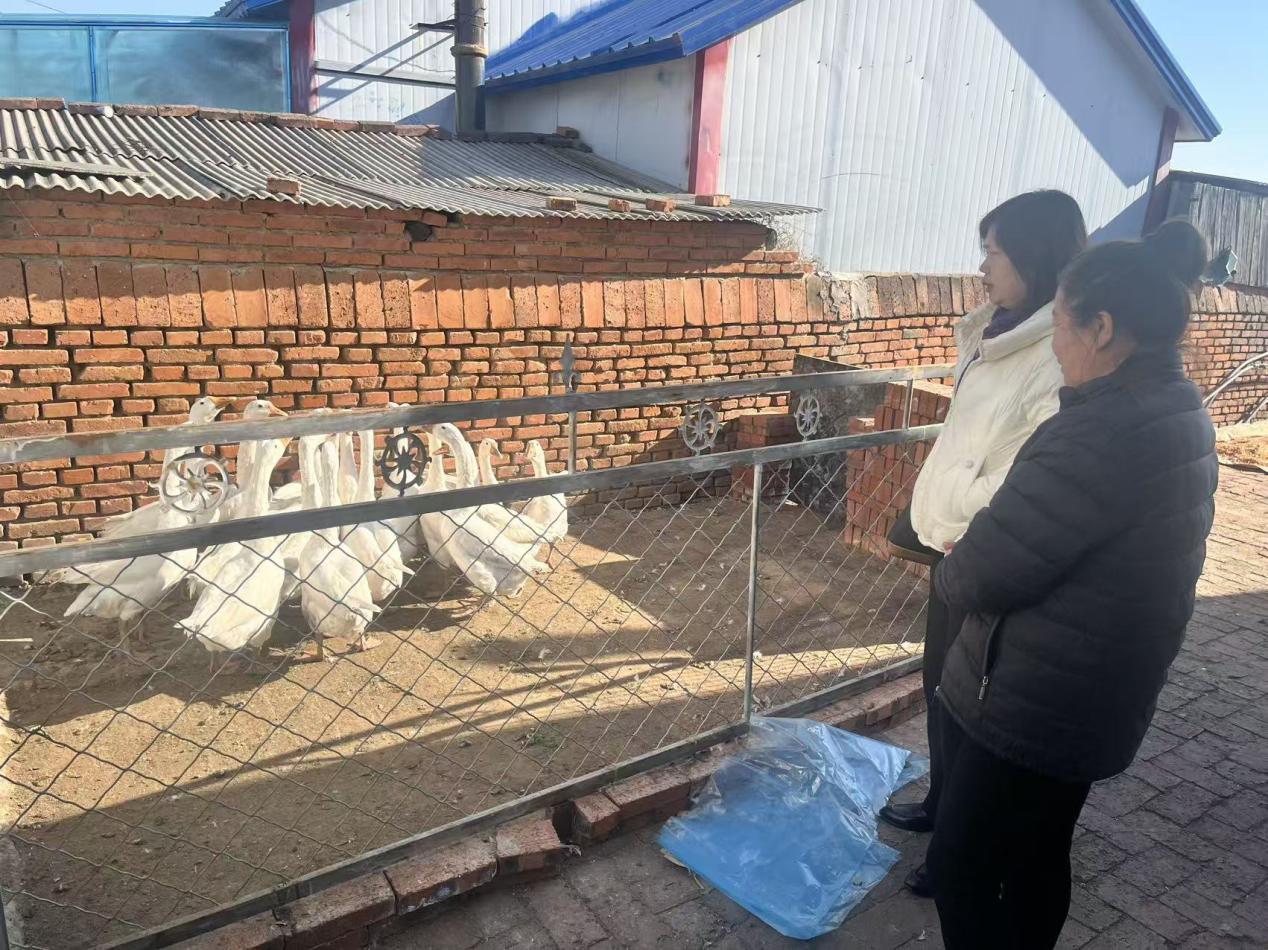 1765172060668454.jpg 1765172060668454.jpg